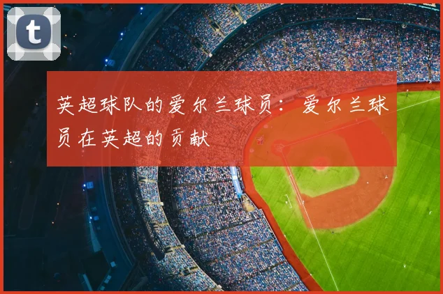 英超球队的爱尔兰球员：爱尔兰球员在英超的贡献