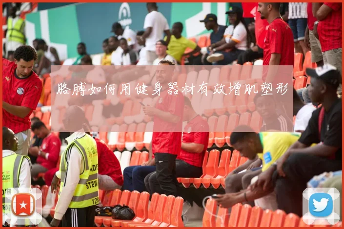 胳膊如何用健身器材有效增肌塑形